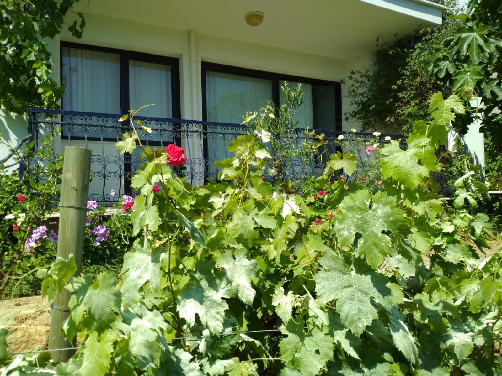 Mimas Garden Apartment Karaburun (Izmir)