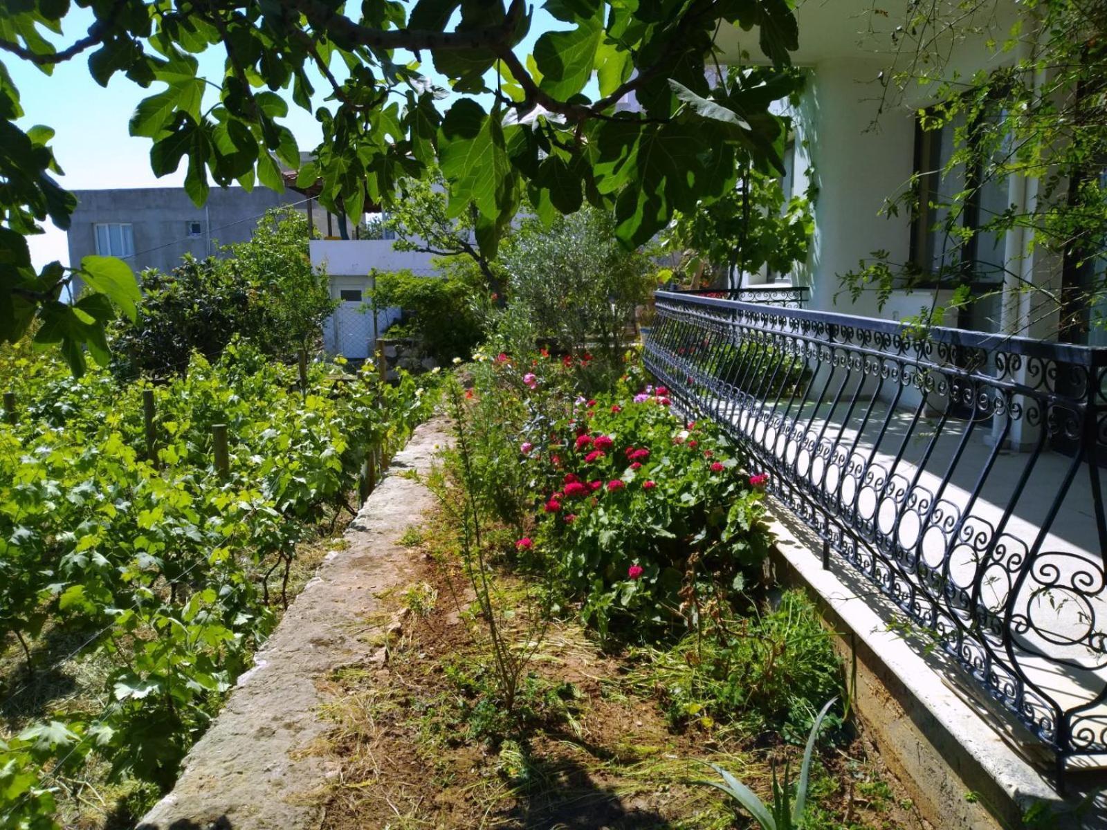 Apartment Mimas Garden