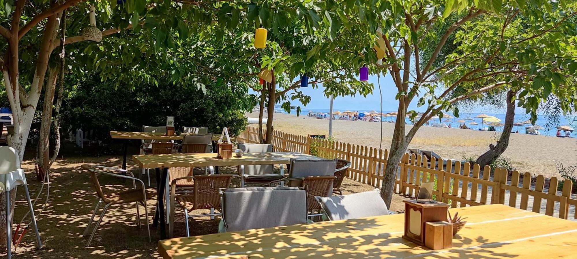 Palmiye 3* Ozdere