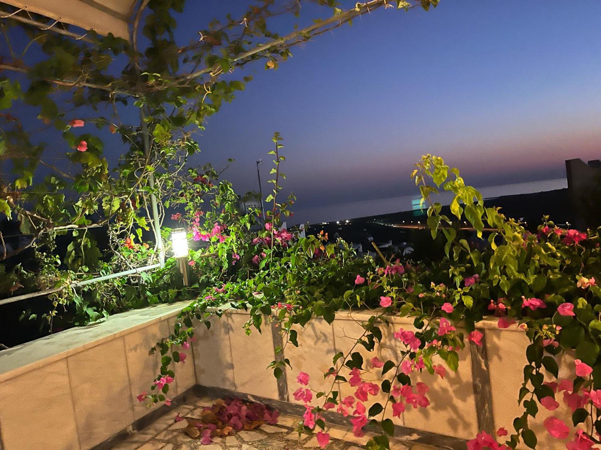 Bella Vista - Near The And Airport Villa