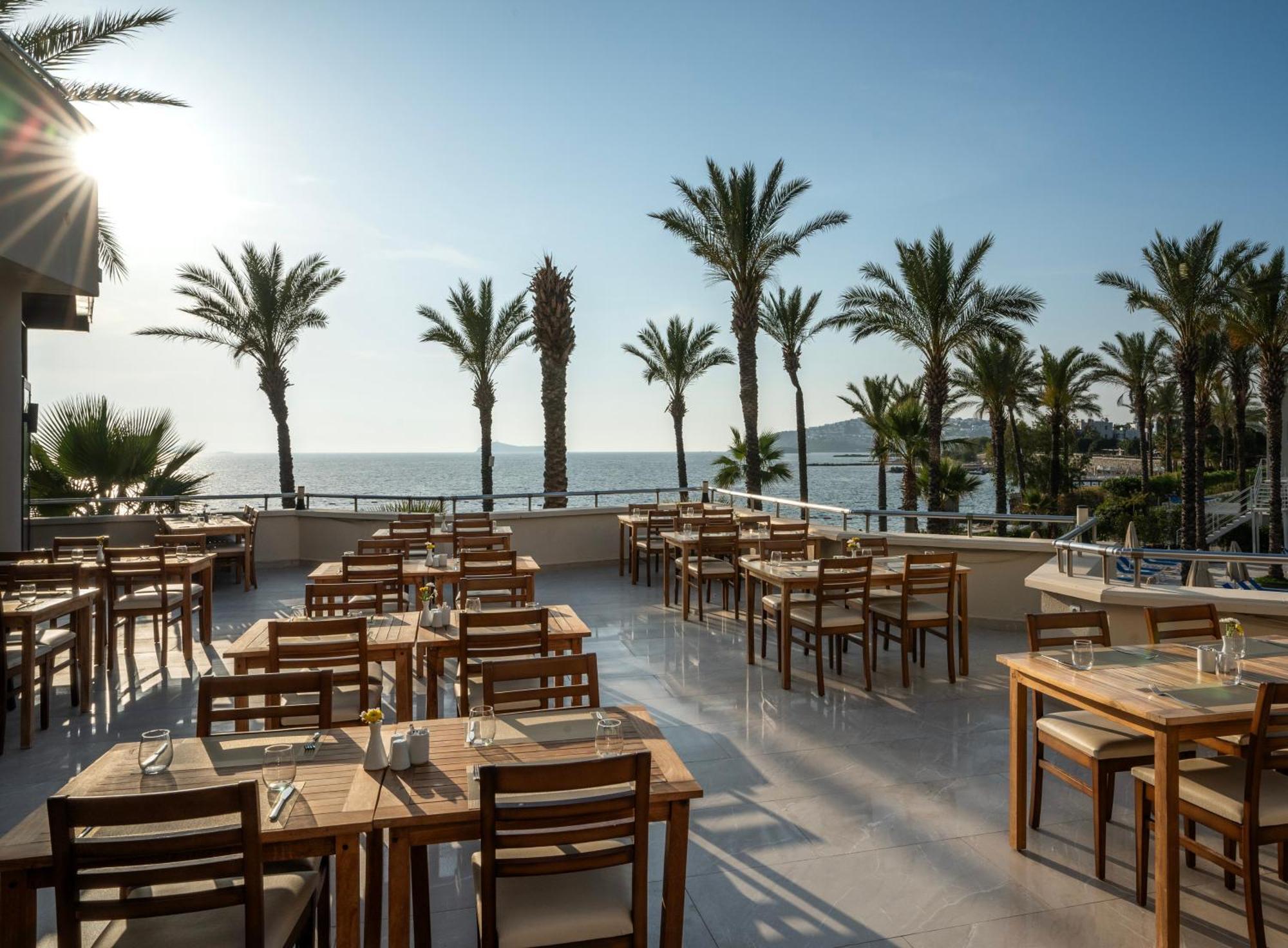 Arin Bodrum