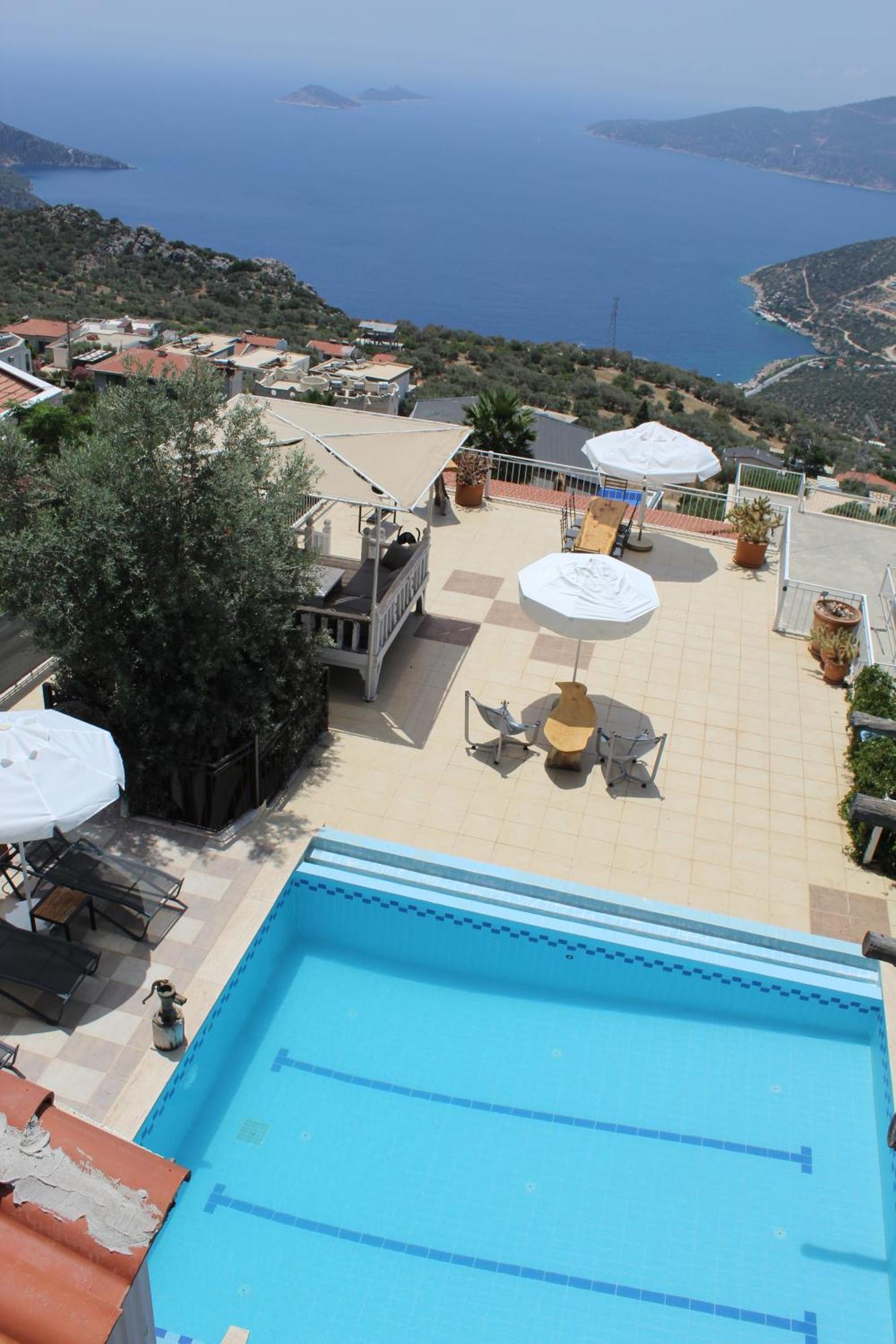 Tulip Kalkan
