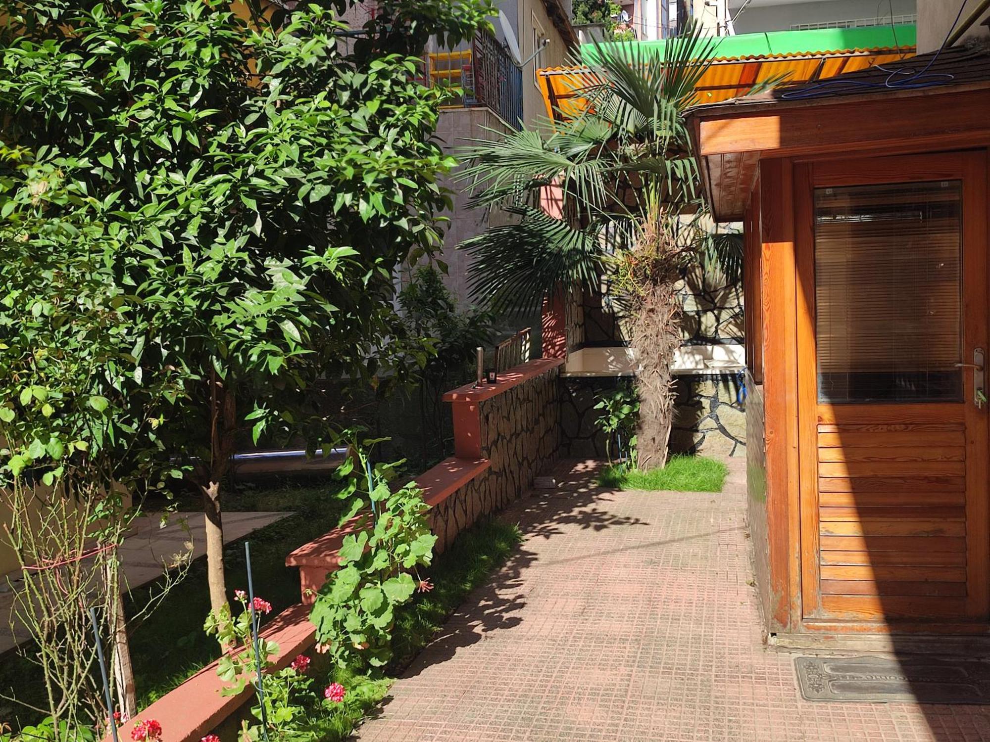 Large House Apartment *