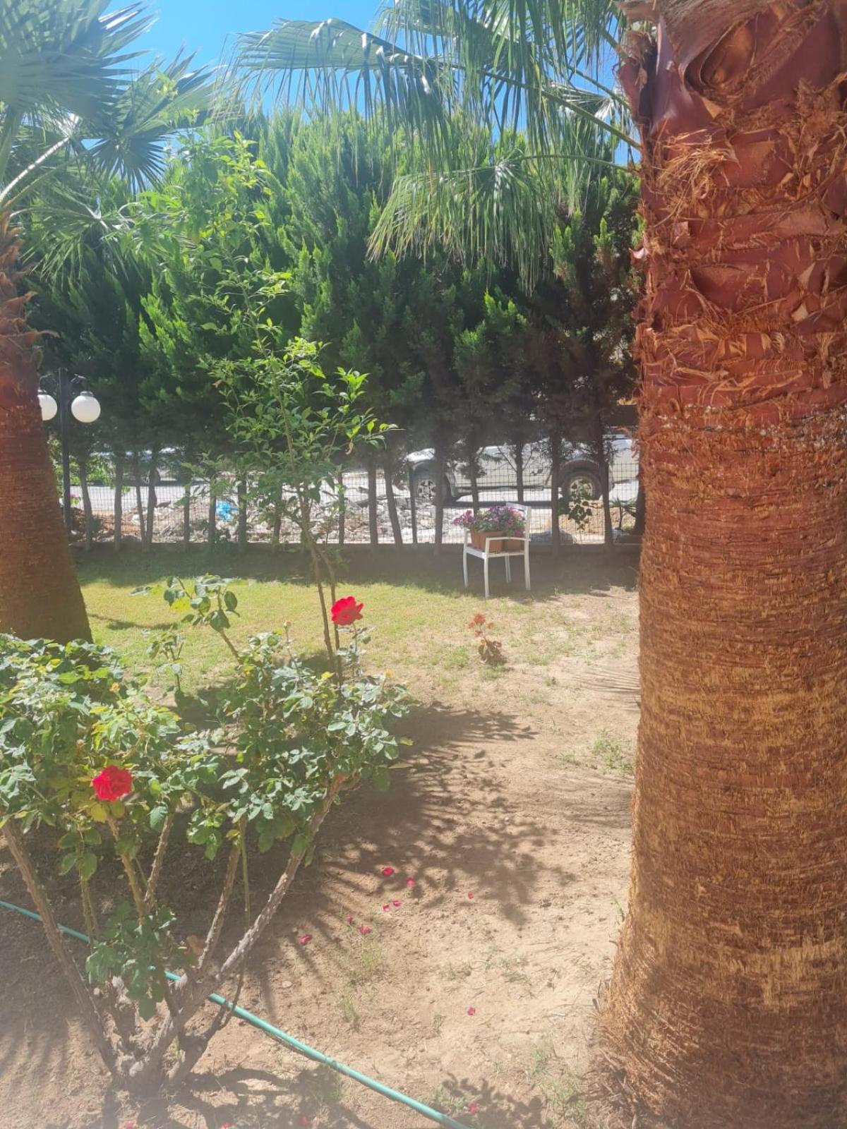 Hotel Delight Boutique 3*