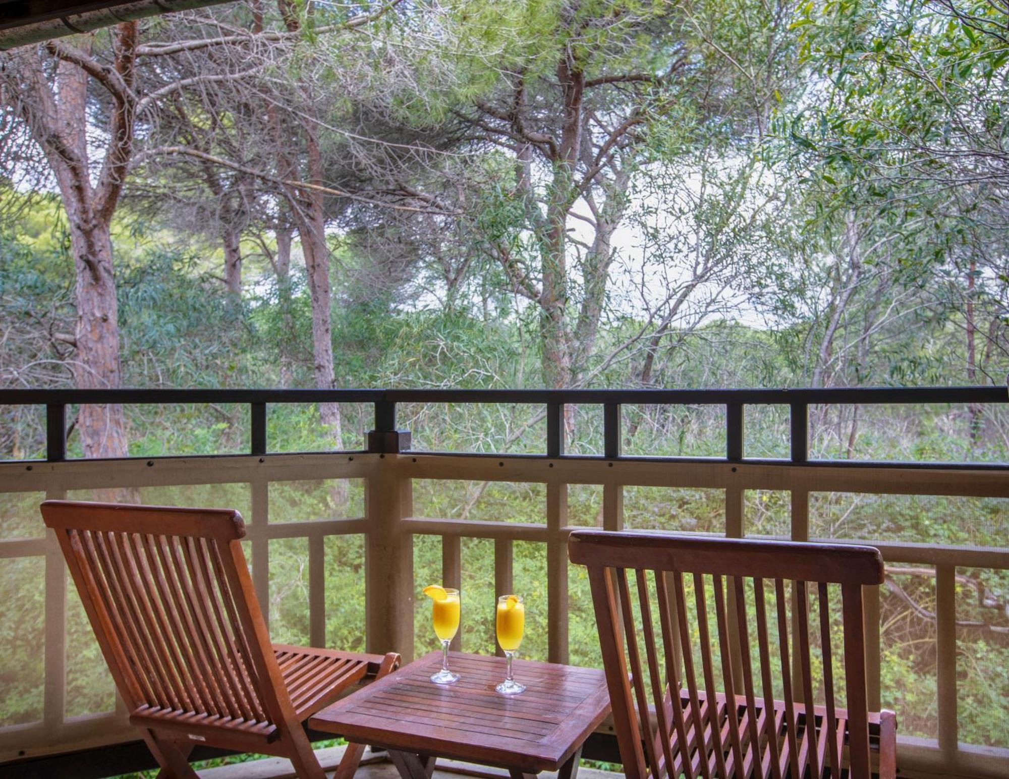 Hotel Asteria Family Belek Antalya