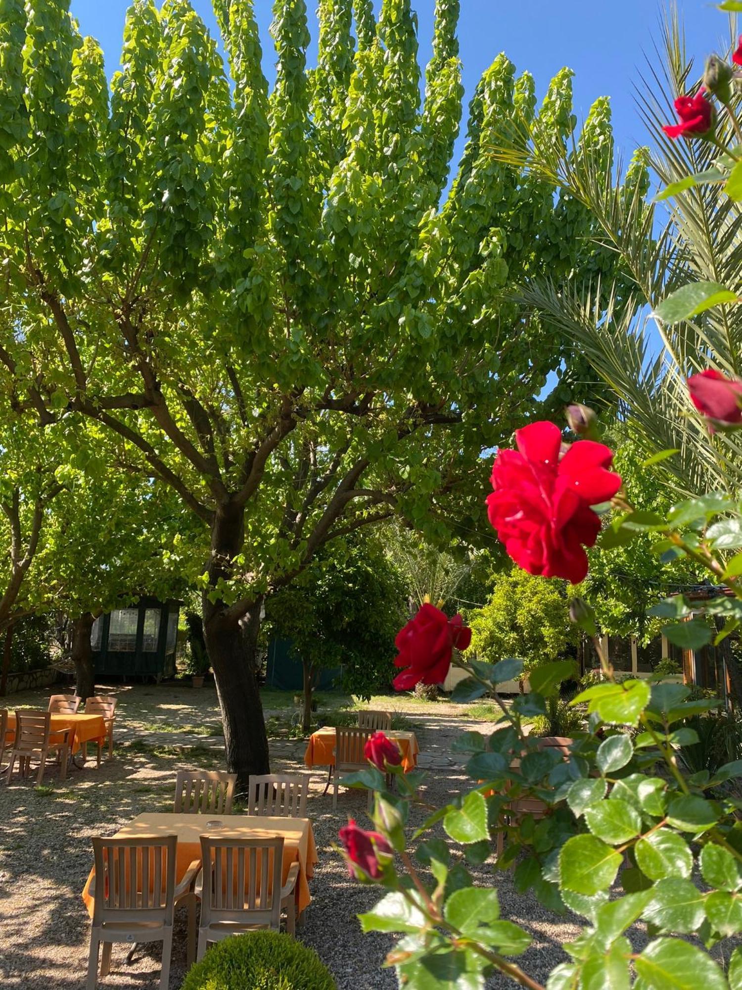 Plaj Guest house 3*