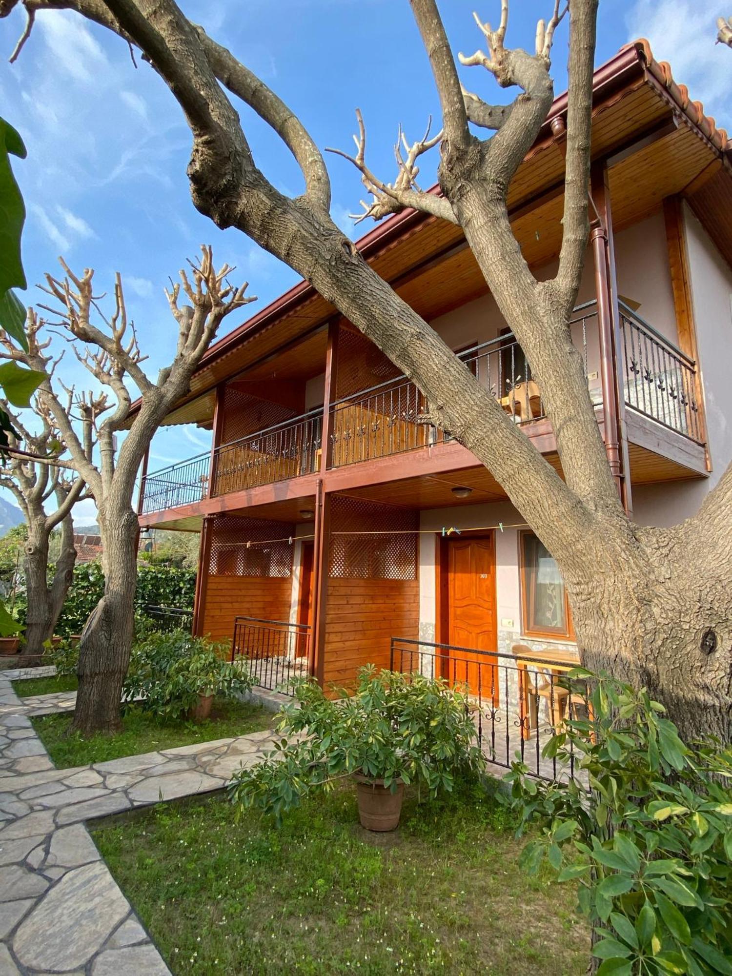 Guest house Plaj 3*