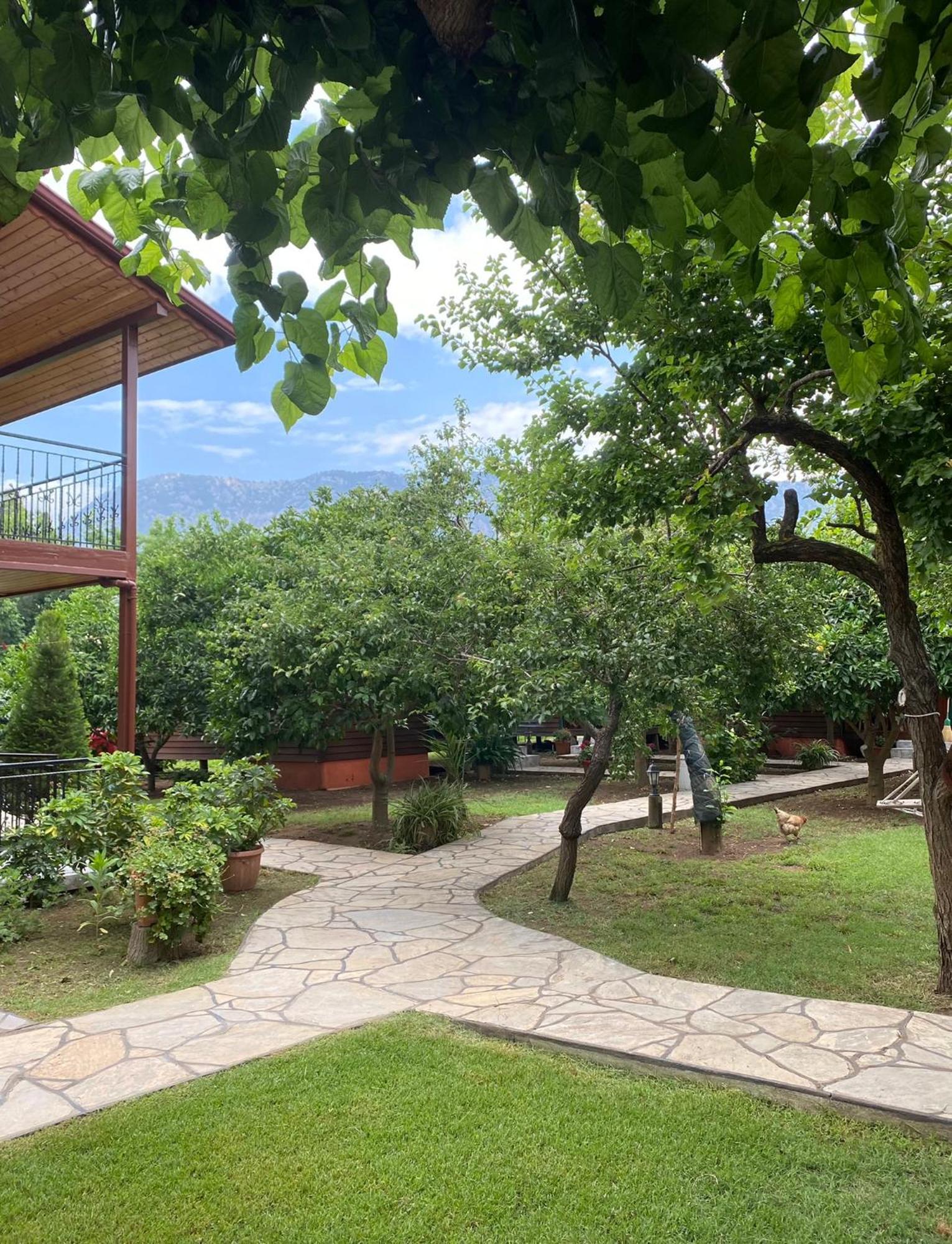 Plaj Guest house