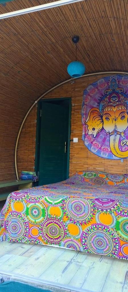Mandala * Faralya