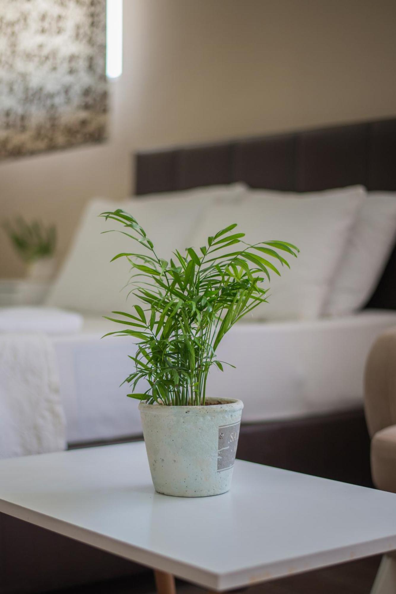 Aparthotel Huzur Royal *