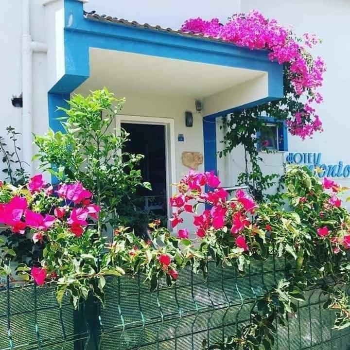 Antonio Cesme