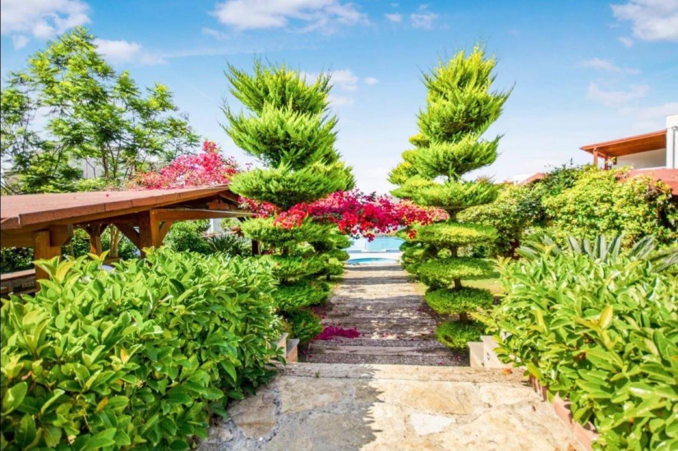 Dibek Homes &