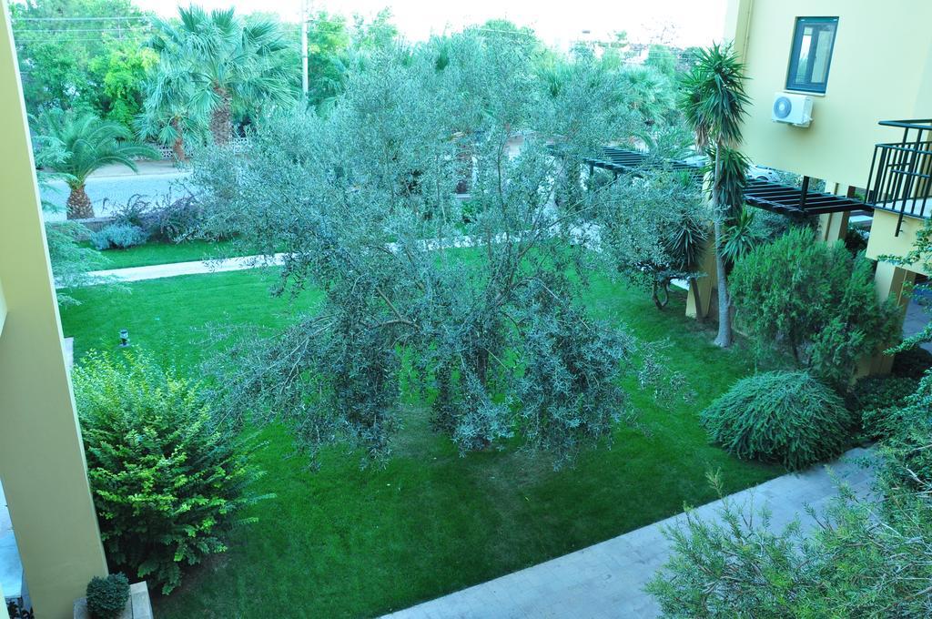 Palm Court Bed & Breakfast