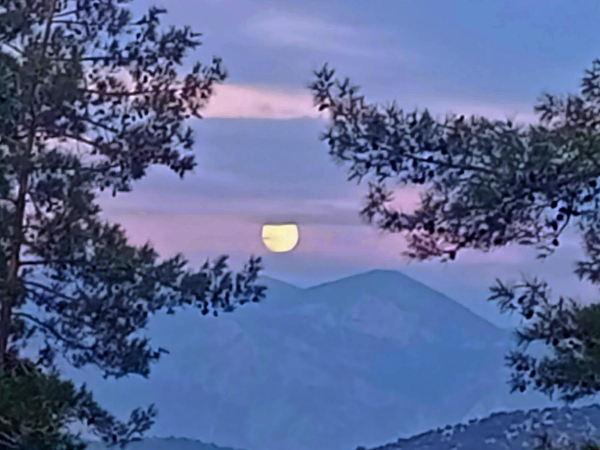 Dikencik * Uzumlu (Aegean)