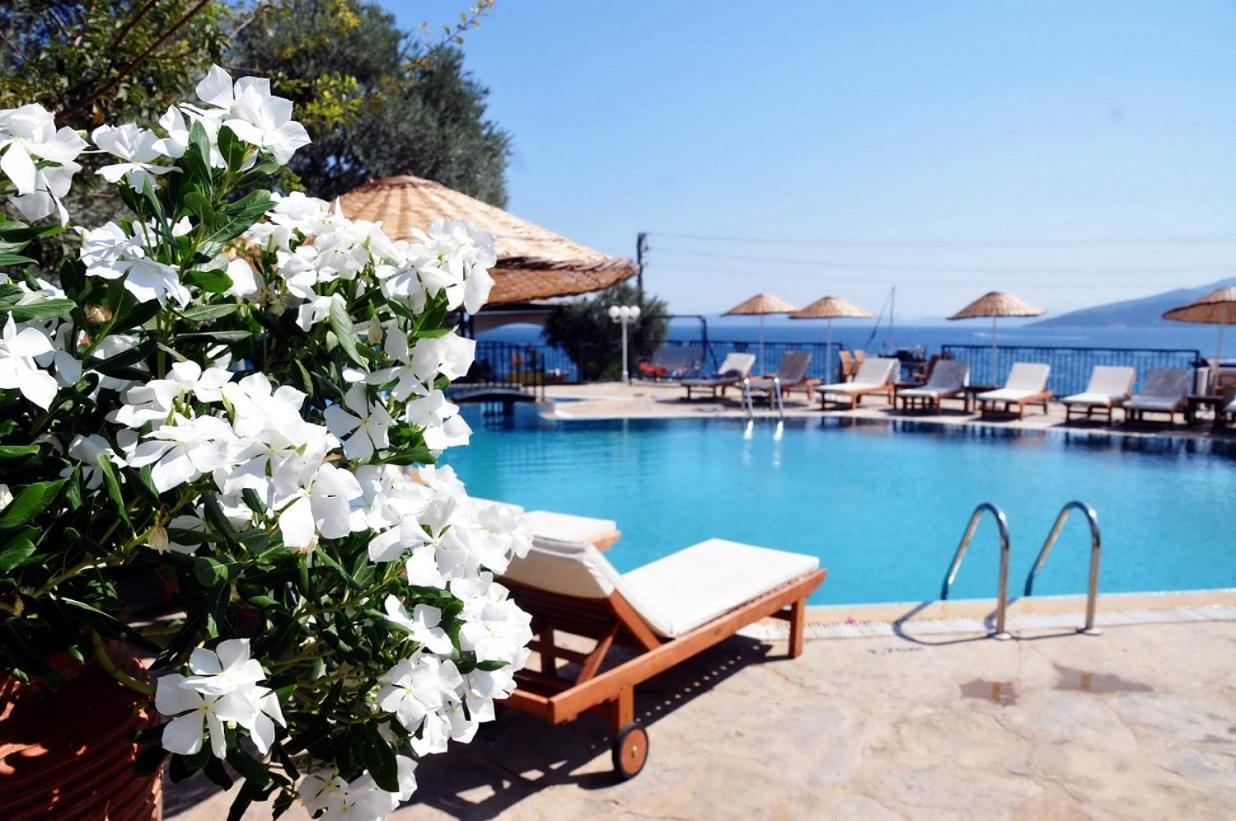 Hotel Omar & 3*