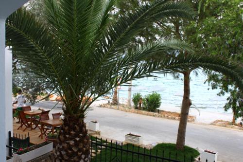 Hotel Omar & Torba