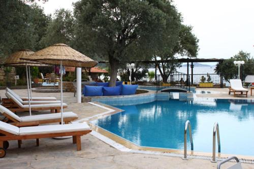 Omar & 3* Torba