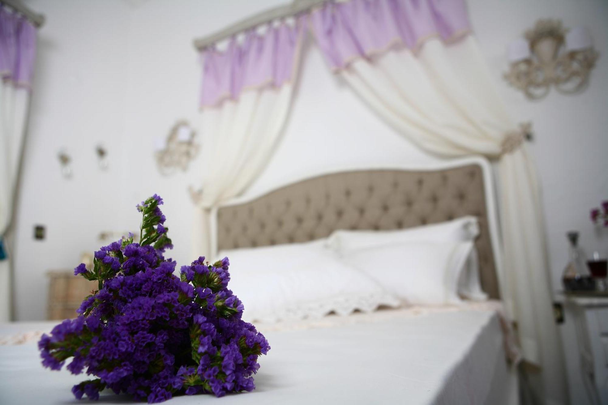 Hotel Hane Boutique 3*