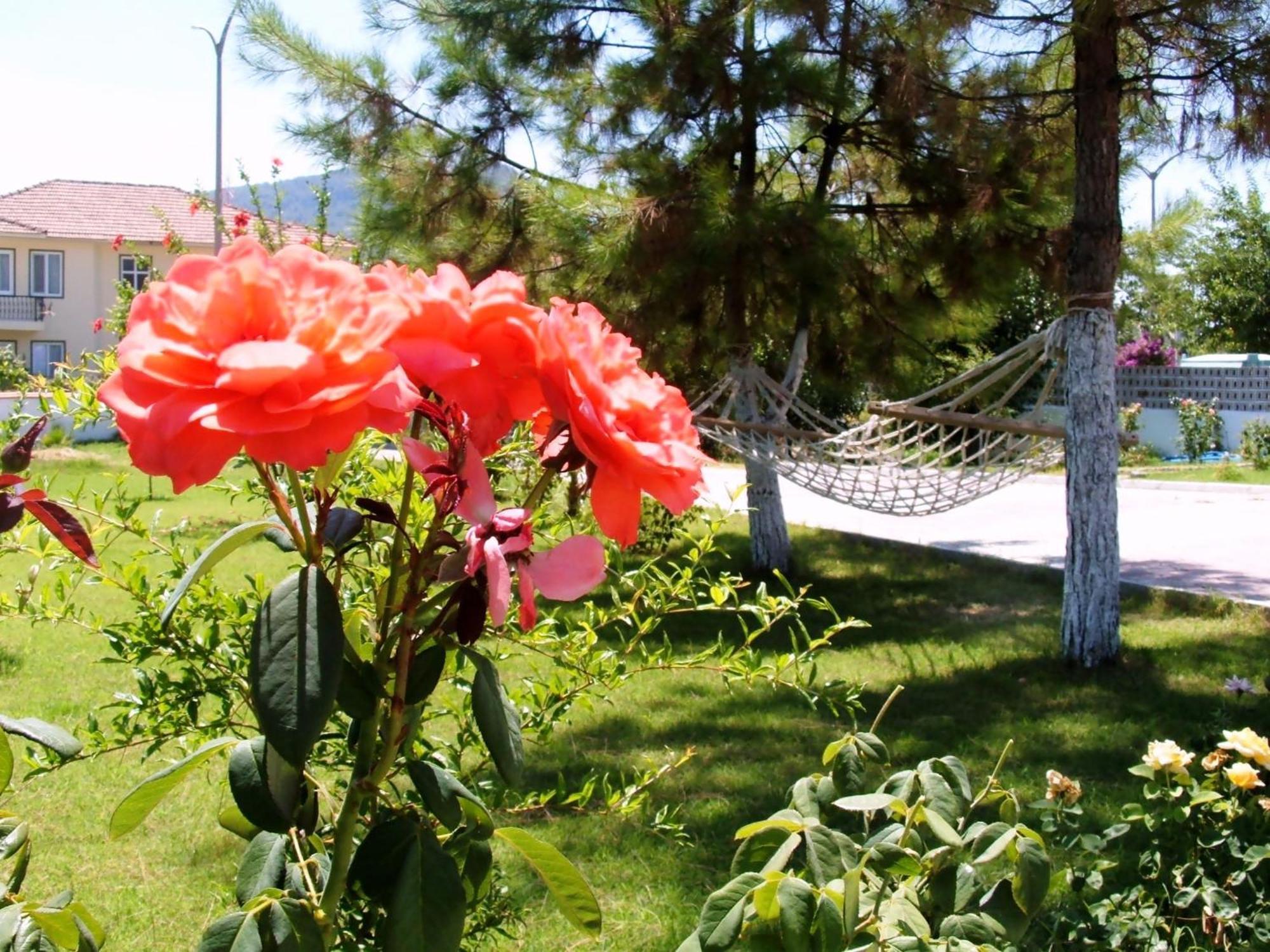 Aparthotel Gurkan