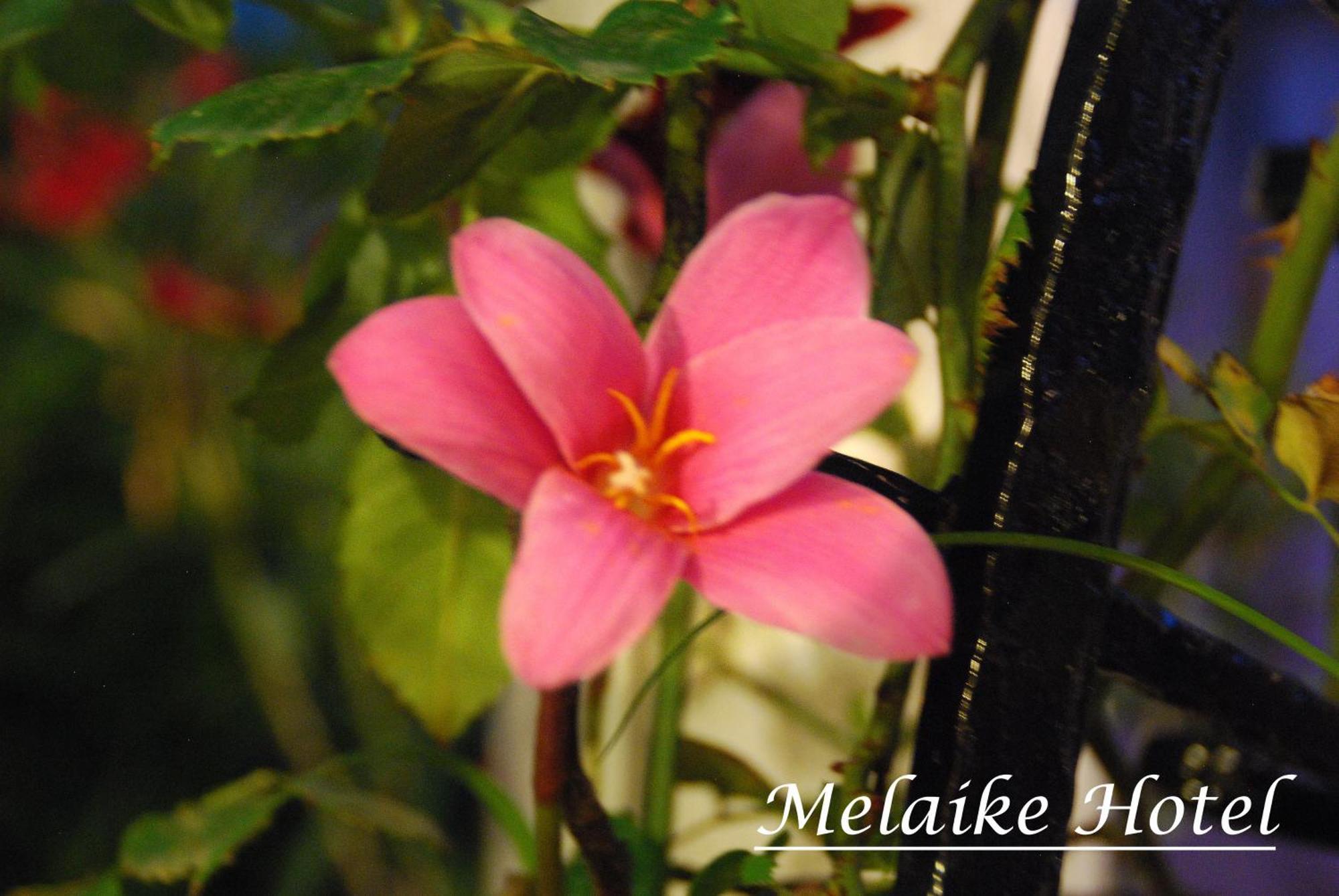 Hotel Melaike 3*