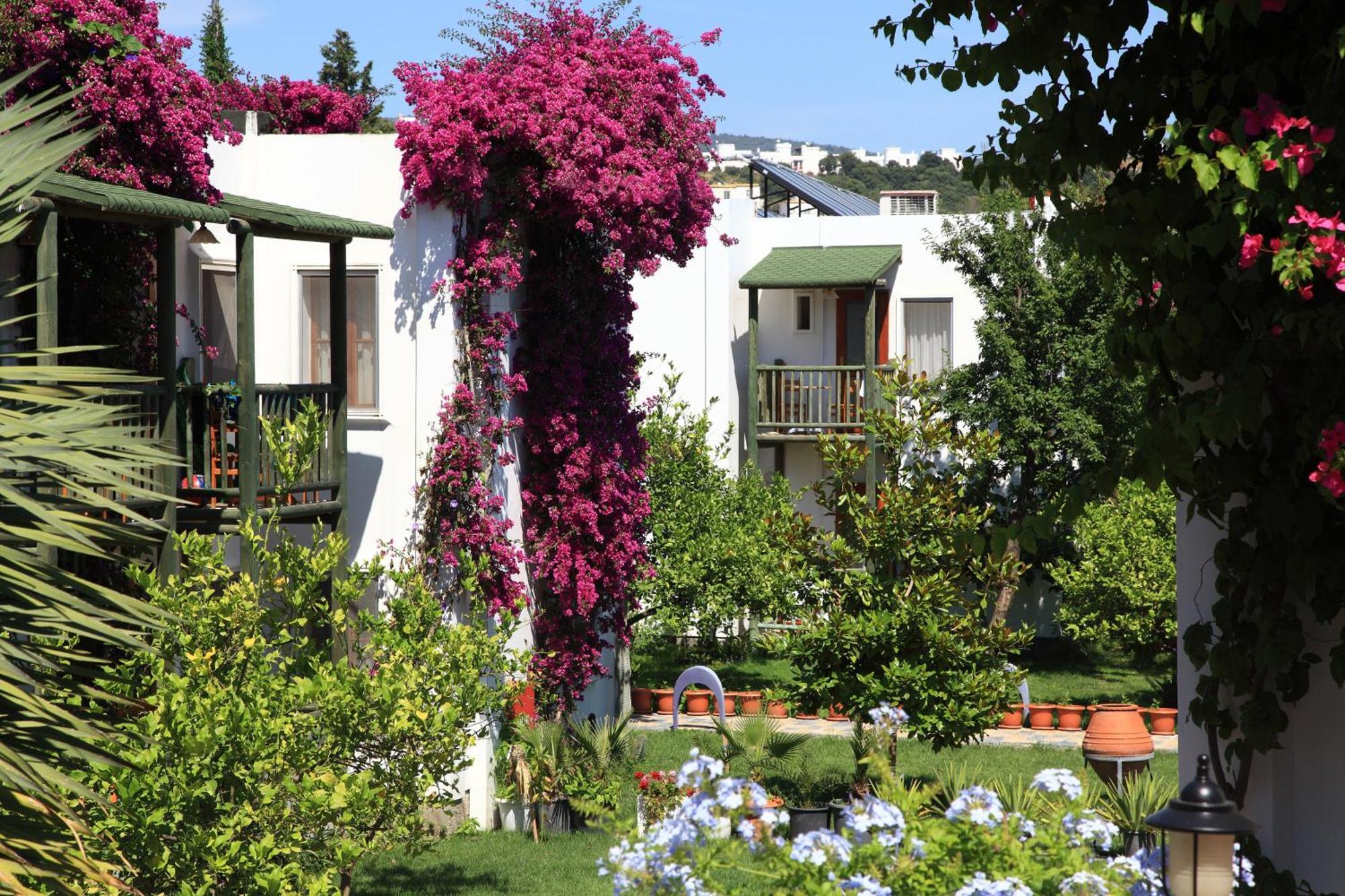 Resort Parkim Ayaz