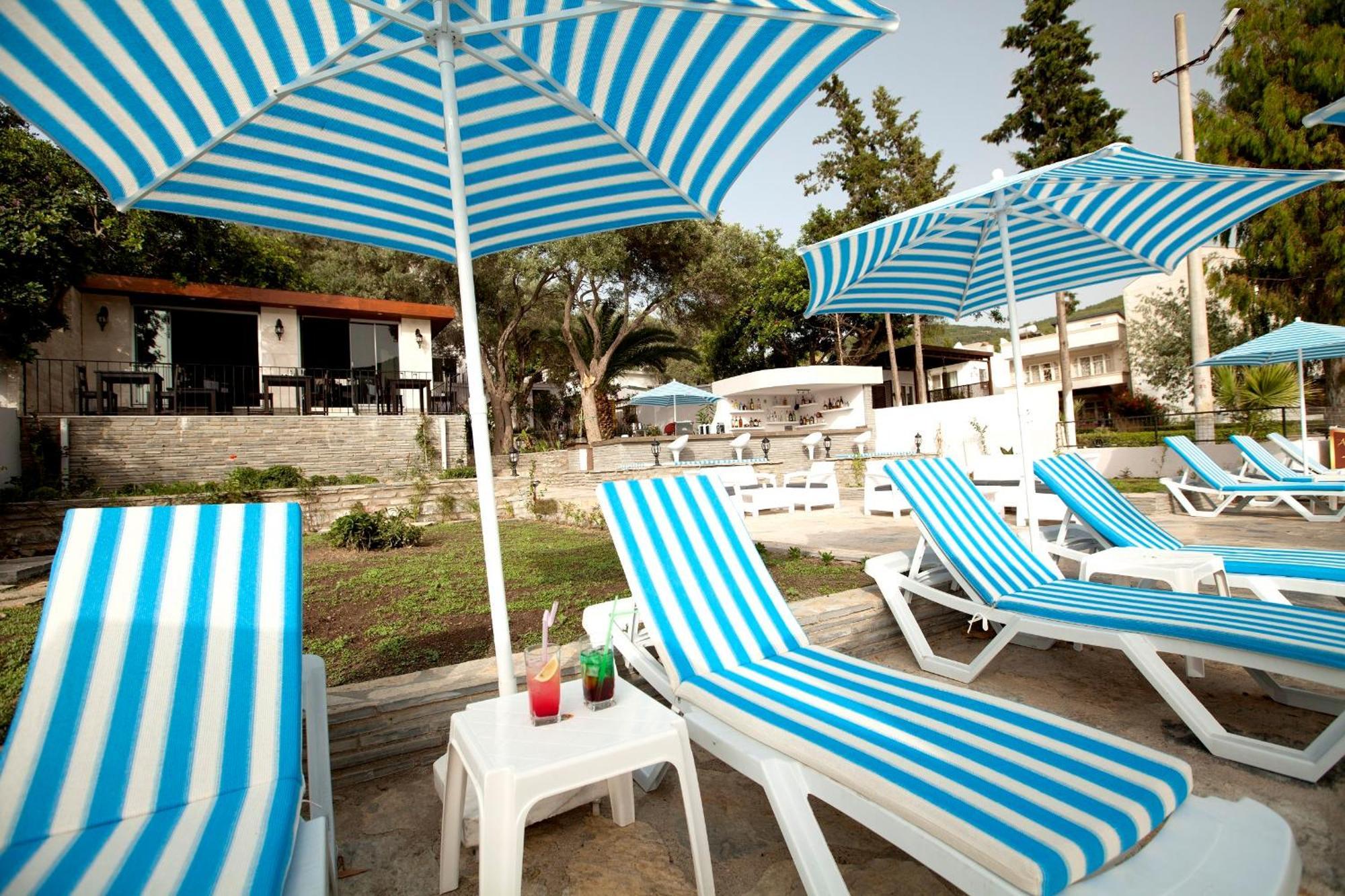 Zena Bodrum