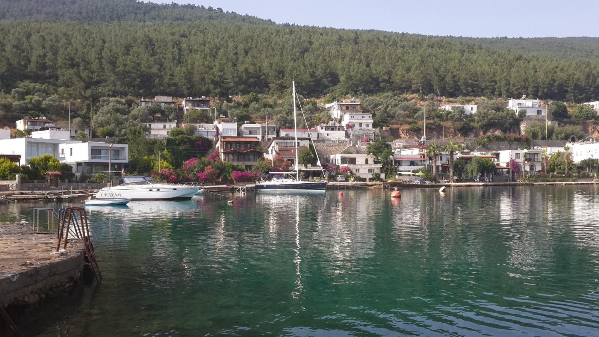 Zena Bodrum Guvercinlik (Bodrum)