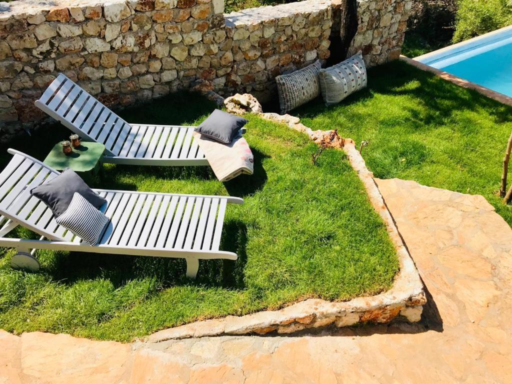 Lodge Kale - Adult Only + 15