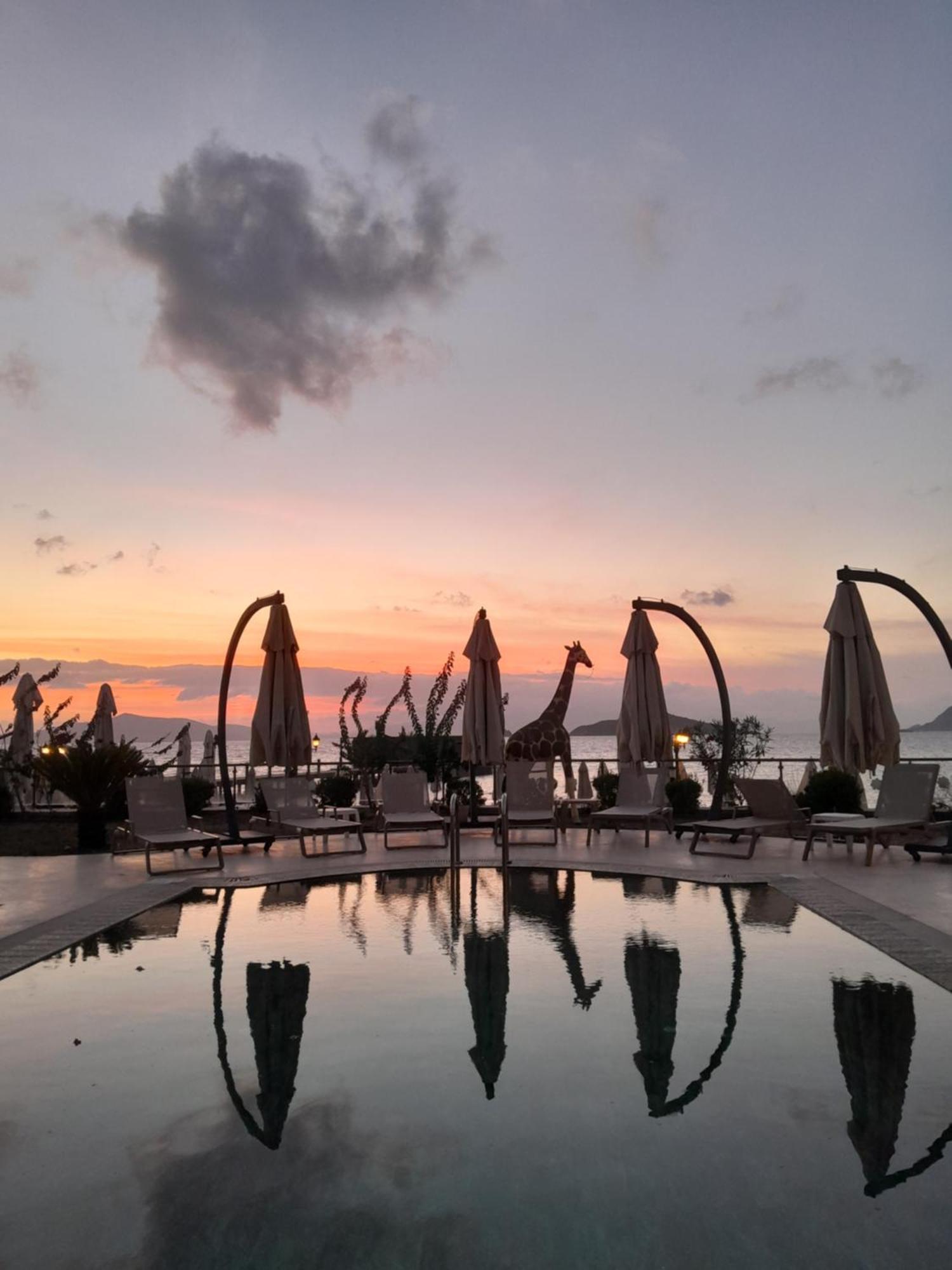 Hotel Small Turgutreis