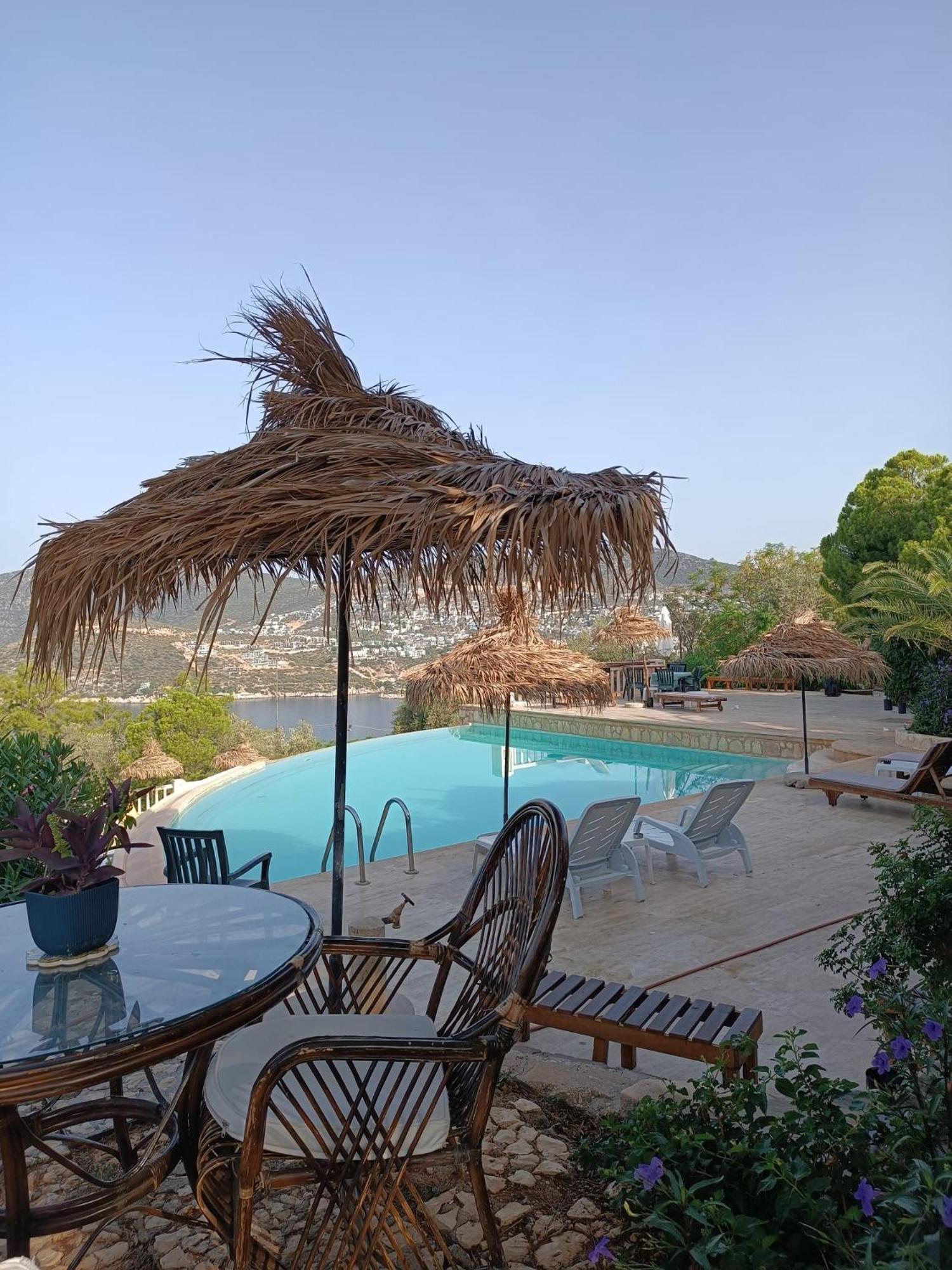 Cactus Garden - Club Patara *