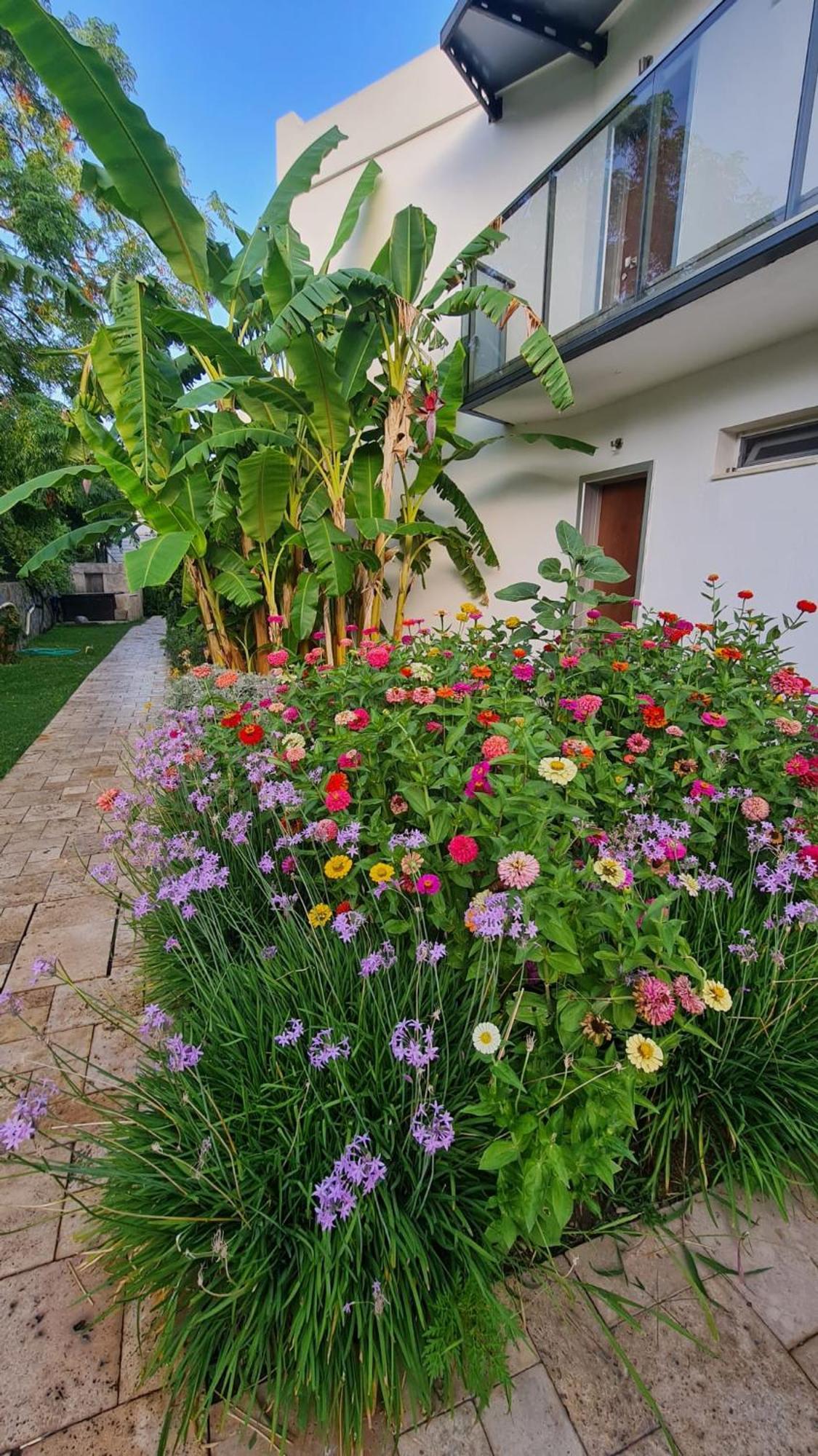Sun Garden