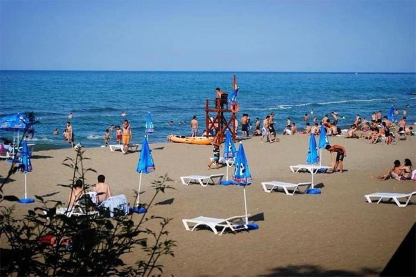 Kanarya * Trabzon