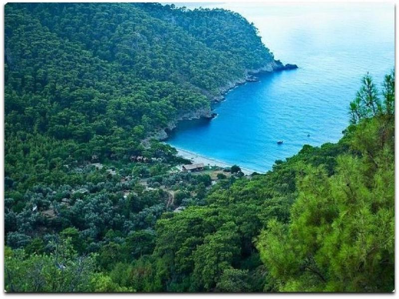Hotel Montenegro *