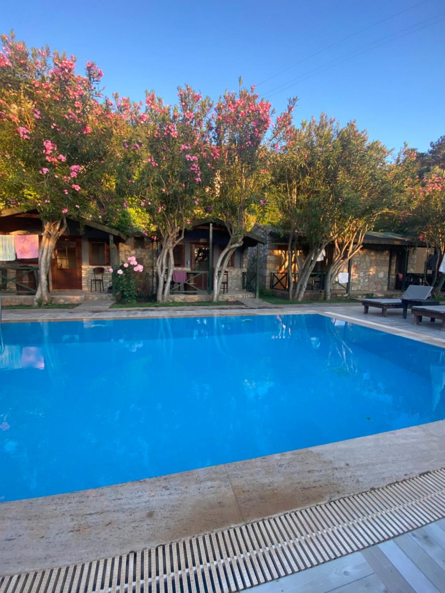 Hotel Montenegro