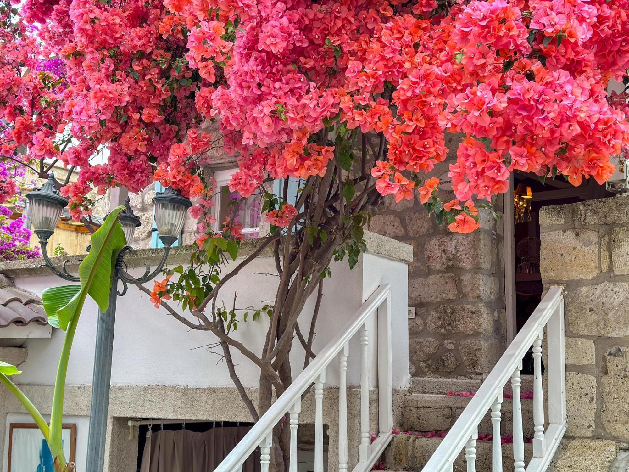 Erendira - Special Category Hotel