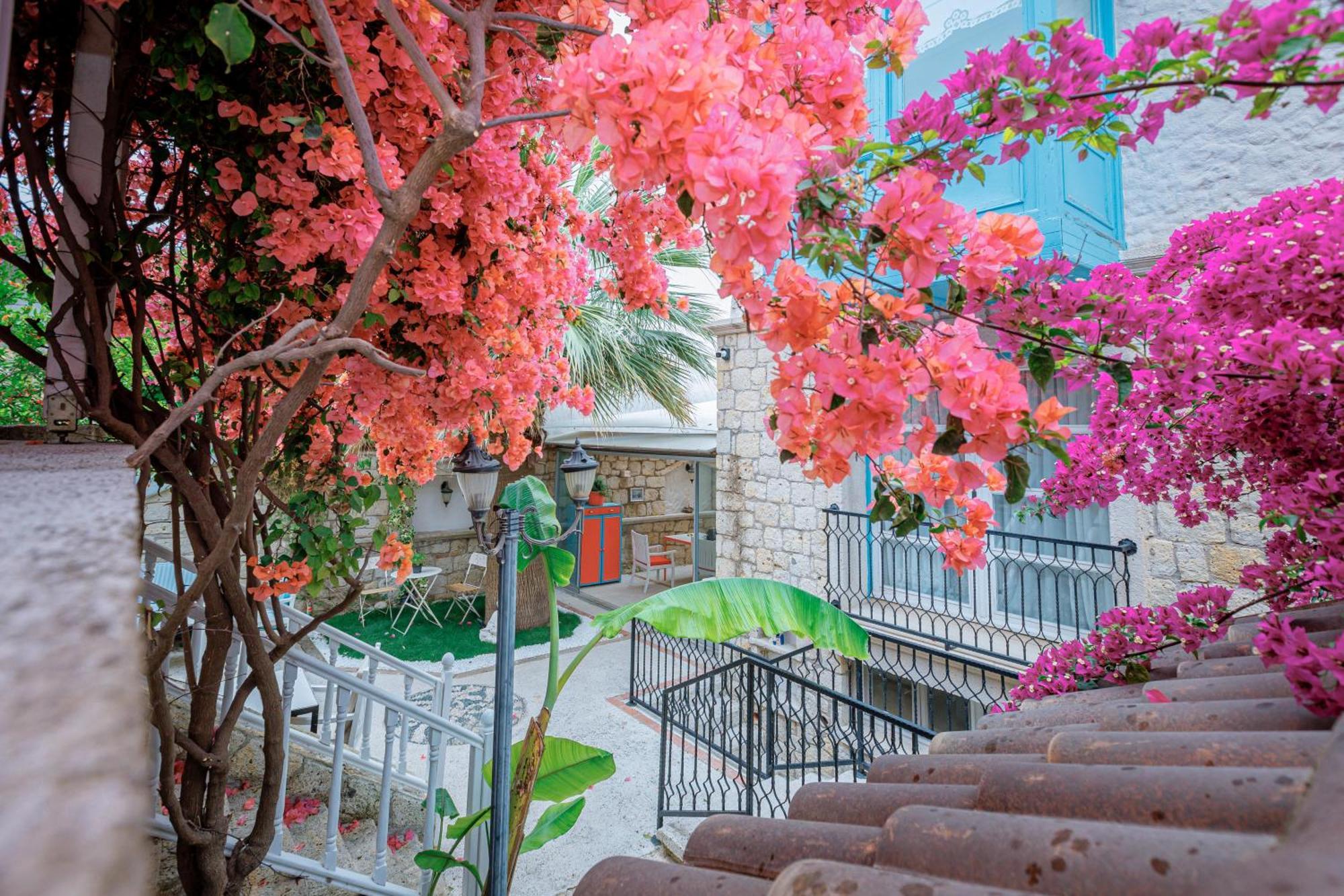 Hotel Erendira - Special Category 2*