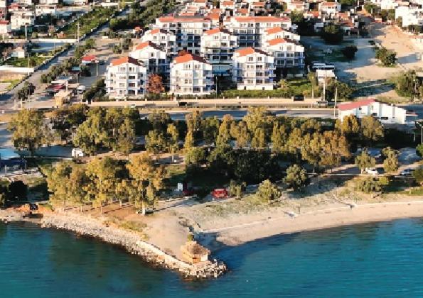 White Bay *