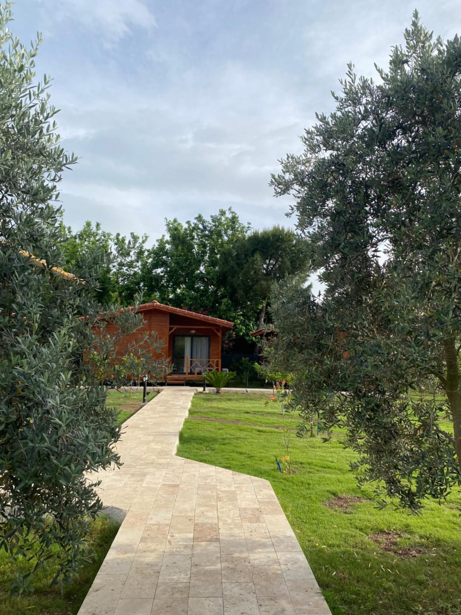 Guest house Plaj