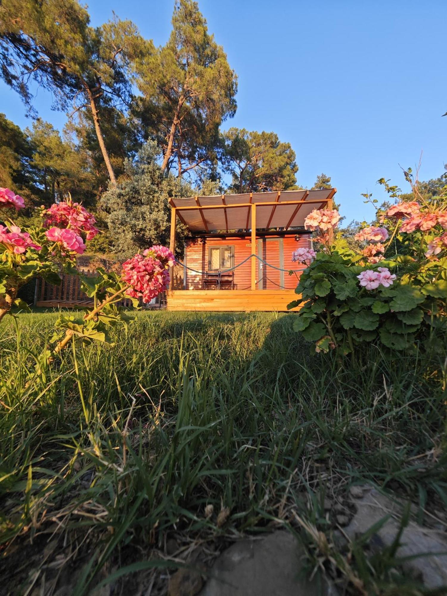 Campsite Tiny Mini House