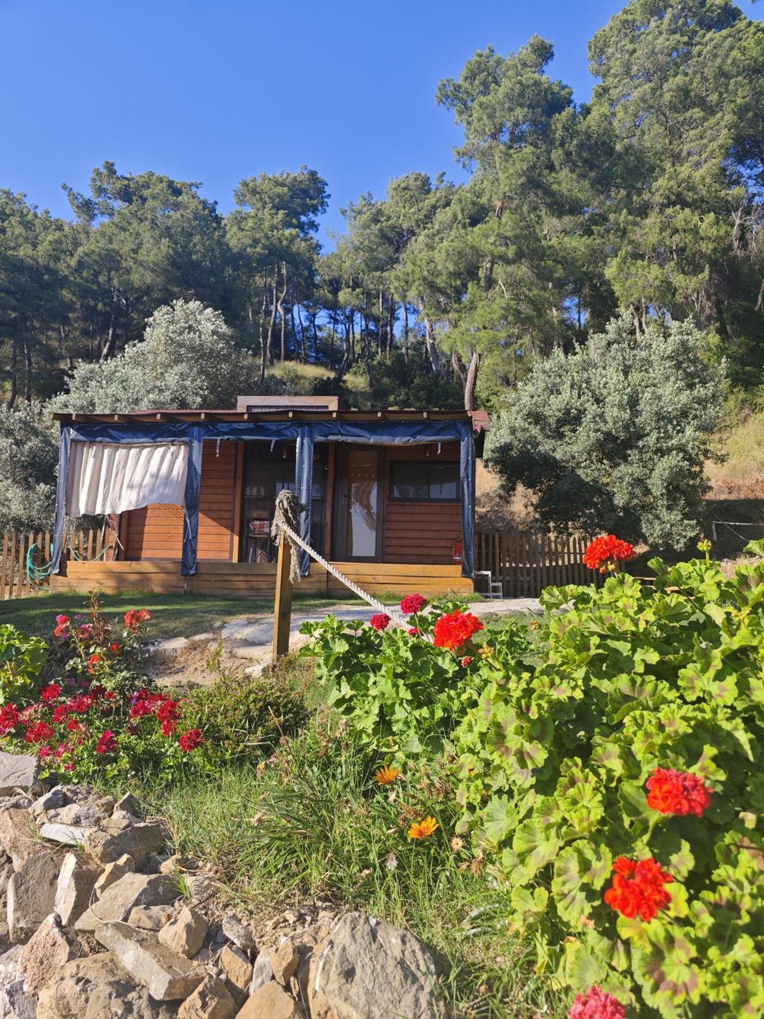 Campsite Tiny Mini House Dalaman