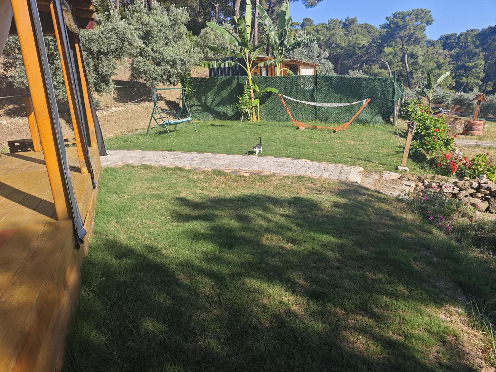 Tiny Mini House Campsite