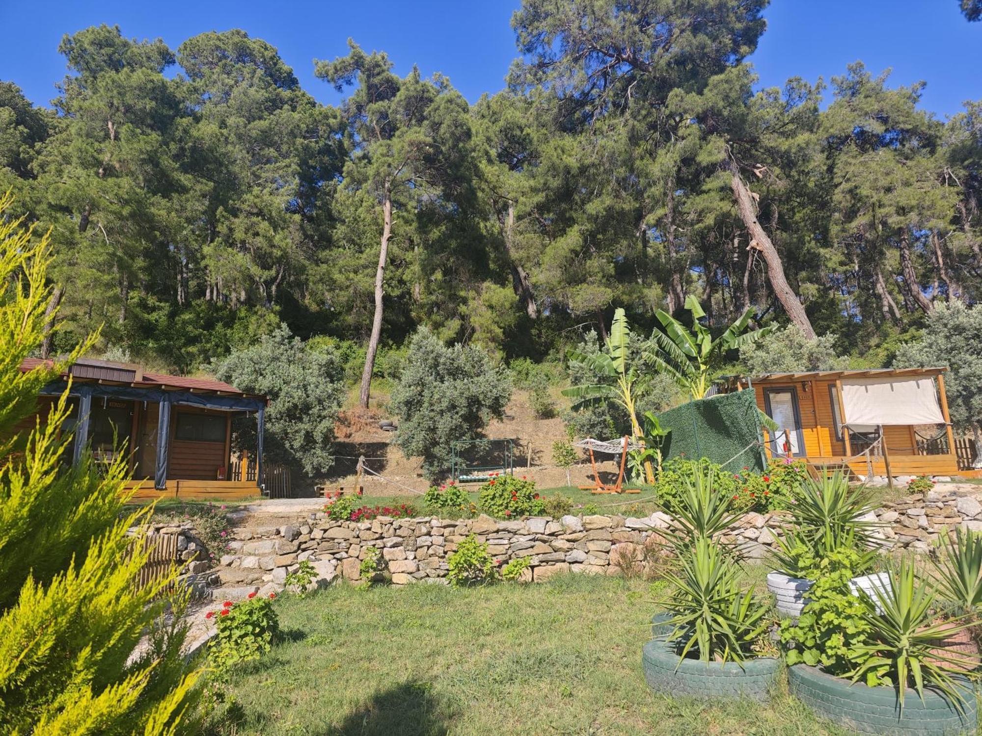 Campsite Tiny Mini House Dalaman