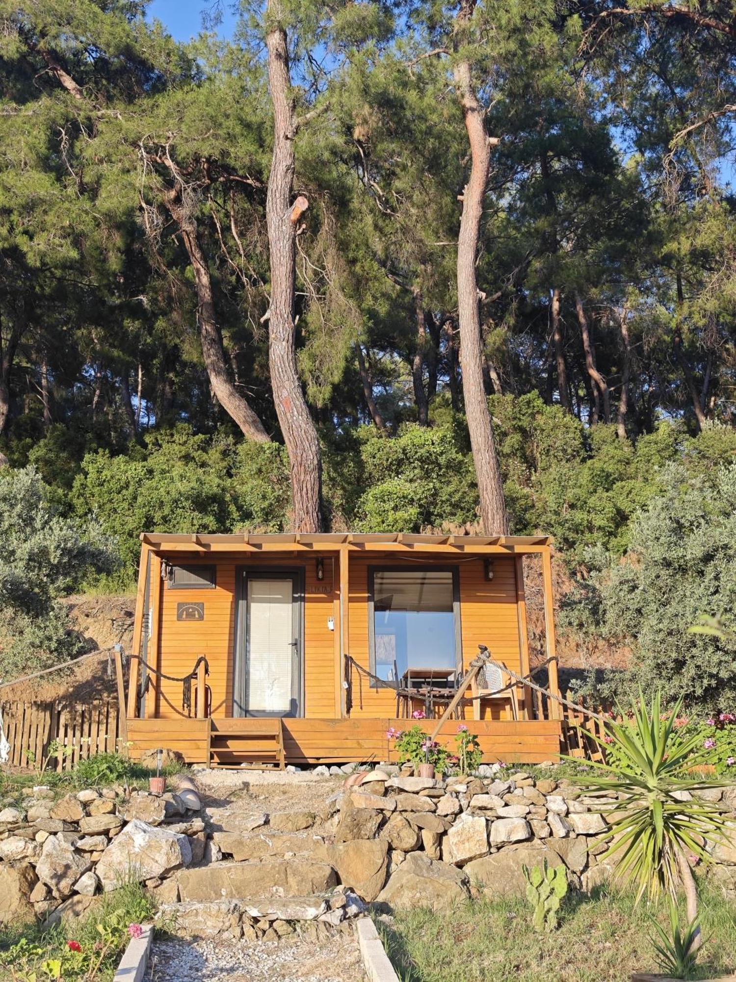 Tiny Mini House *