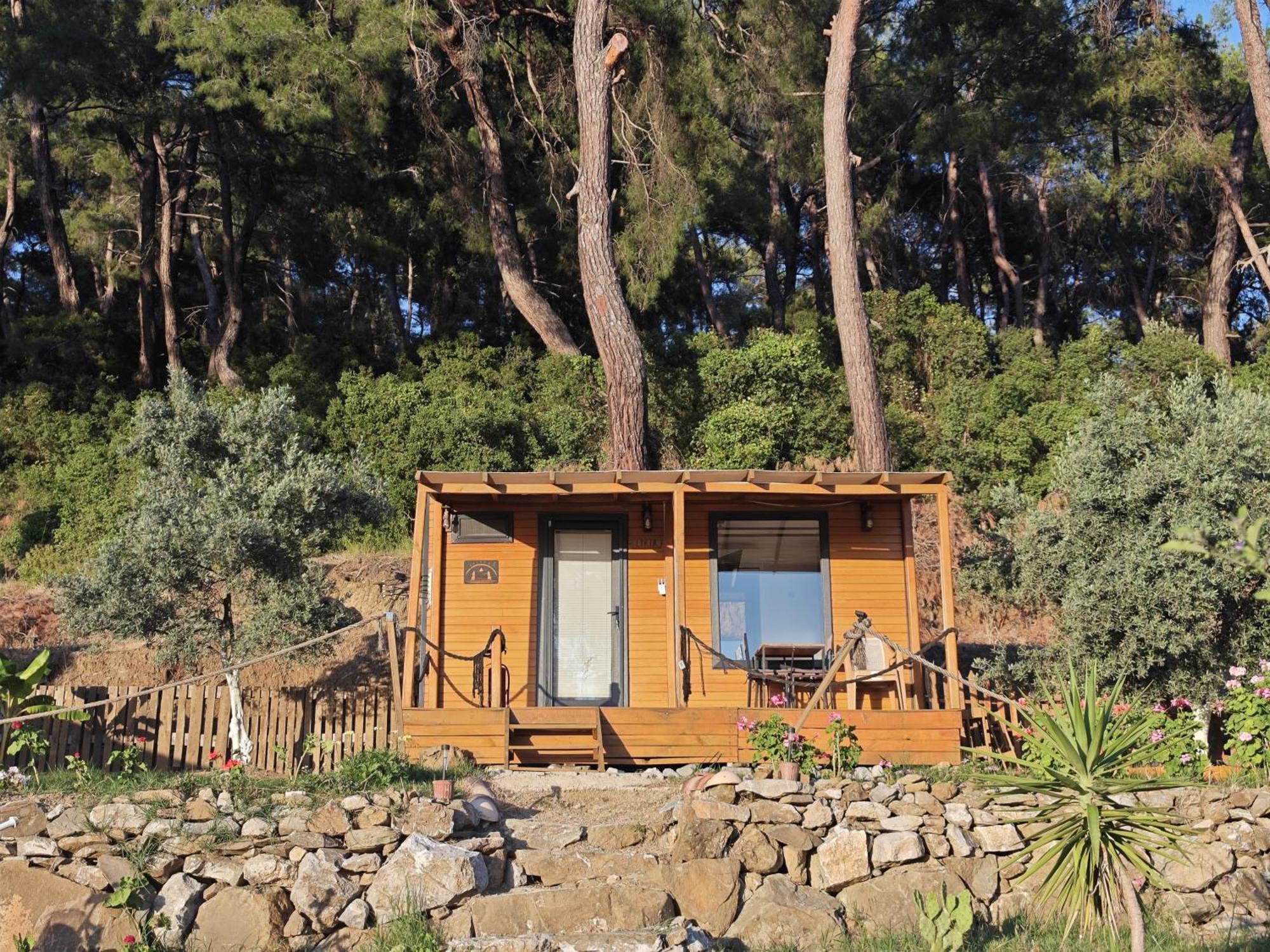 Tiny Mini House Campsite