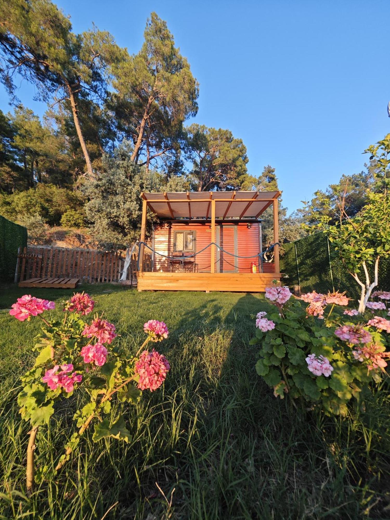 Tiny Mini House Dalaman