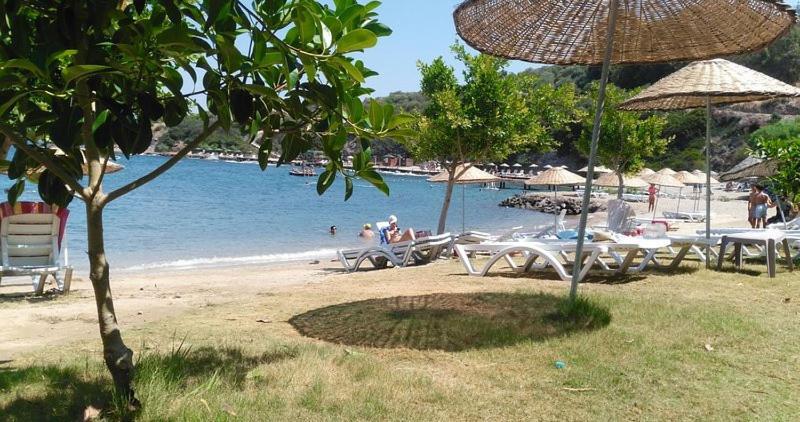 Akasya With Private Pool Bogazici