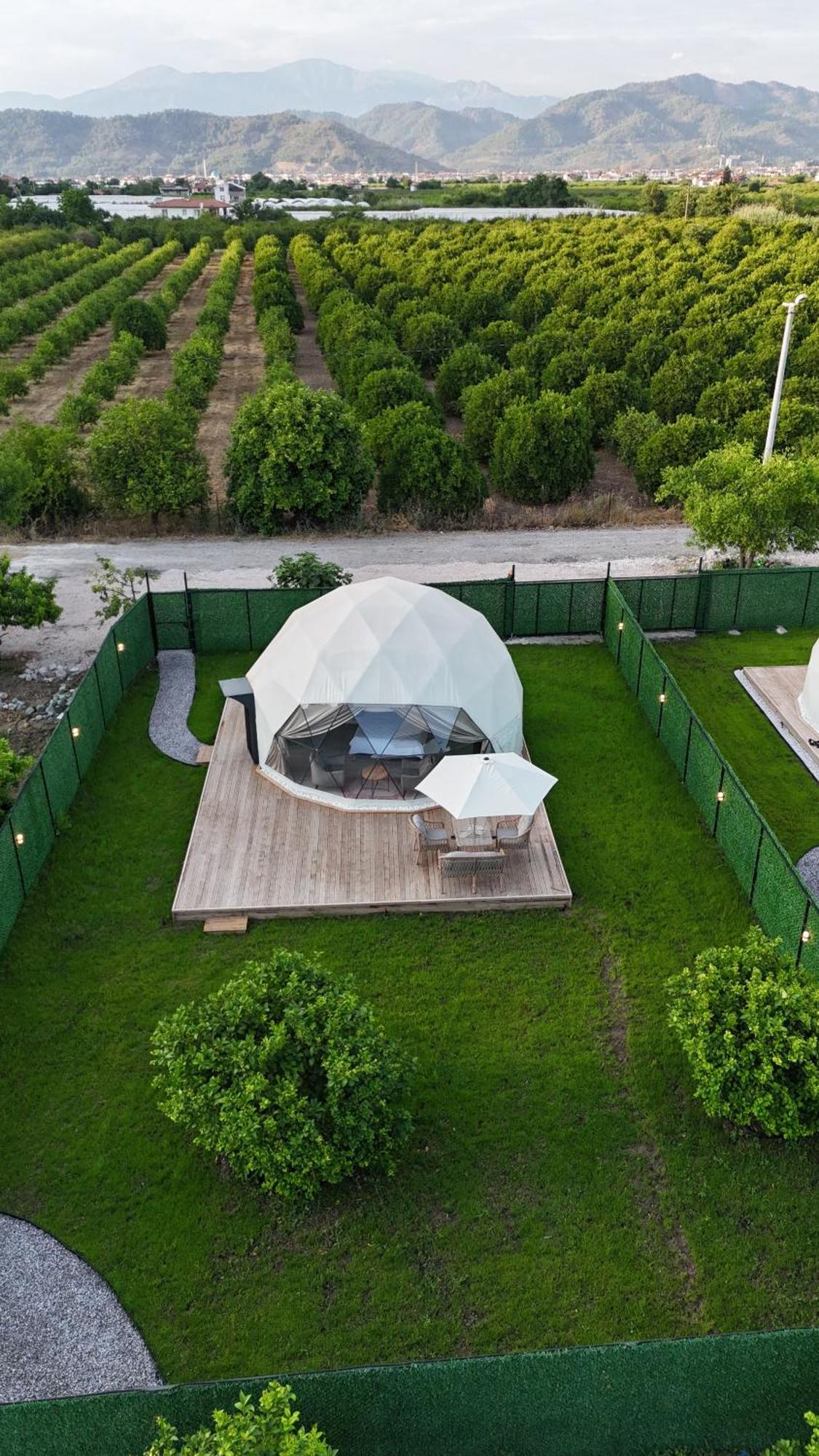 Greenglampingdome * Ortaca (Mugla)