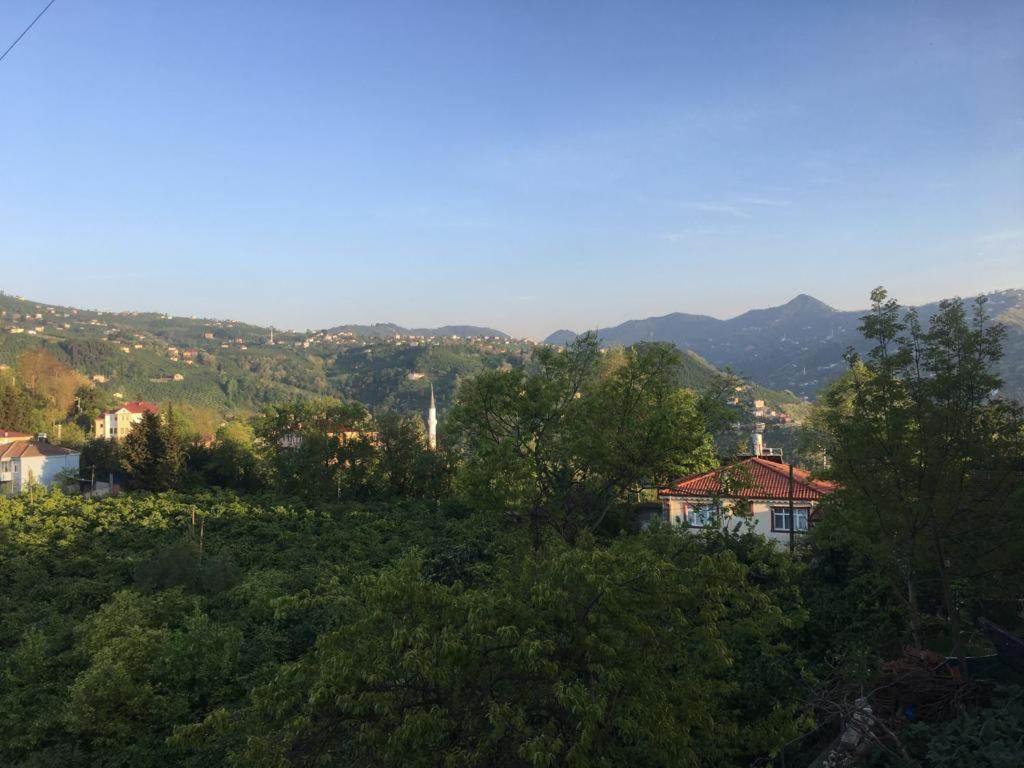 Atlas6161 Holiday home Trabzon