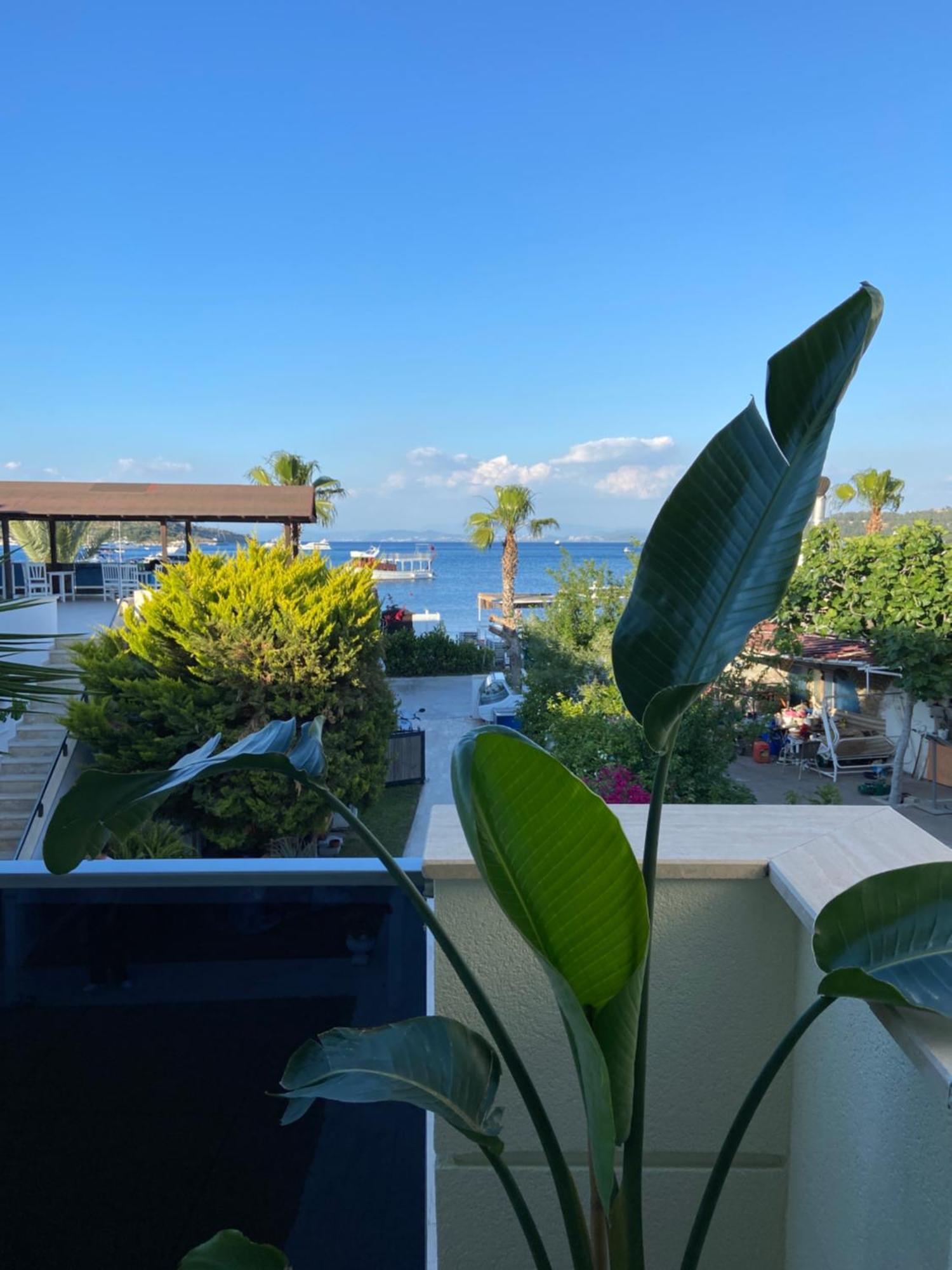 Eda Guest house Golturkbuku