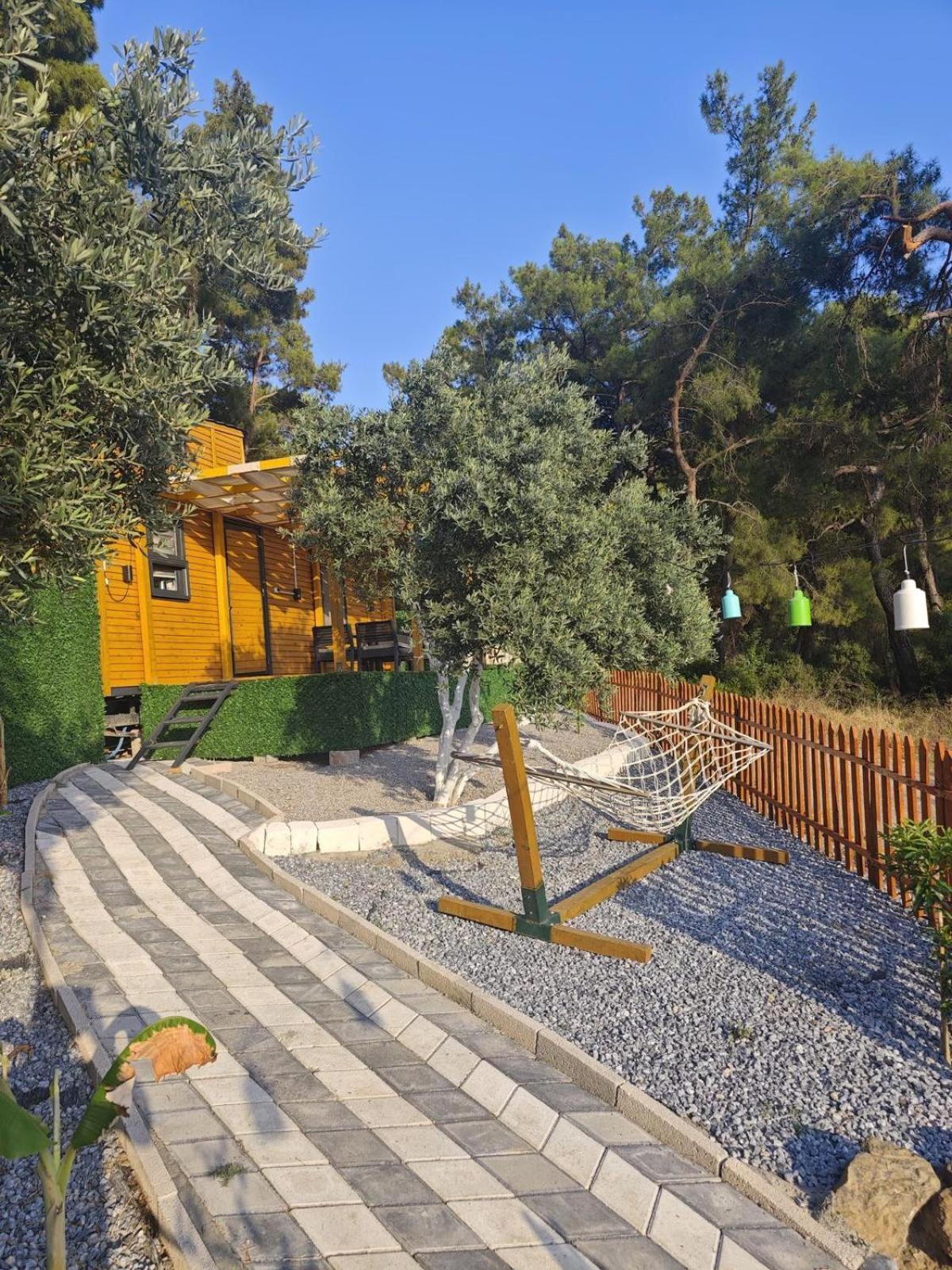 Campsite Tiny Mini House